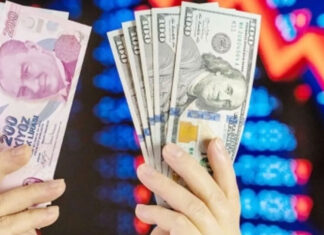 TL’nin toplam mevduat içindeki payının en yüksek olduğu il Bitlis; döviz mevduatındaysa Aksaray