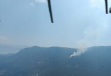 Isparta Senirkent’te orman yangını