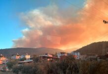 Mersin’de orman yangını rüzgarın etkisi ile büyüdü; Havadan ve karadan müdahale ediliyor