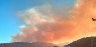Mersin’de orman yangını rüzgarın etkisi ile büyüdü; Havadan ve karadan müdahale ediliyor