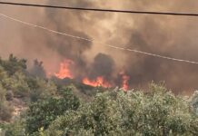 Mersin’de orman yangını büyüyor; 30 ev boşaltıldı