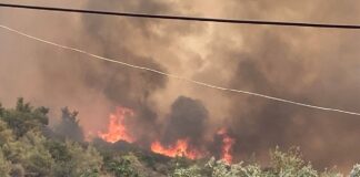 Mersin’de orman yangını büyüyor; 30 ev boşaltıldı