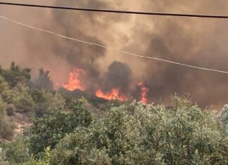 Mersin’de orman yangını büyüyor; 30 ev boşaltıldı