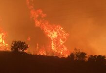 Mersin’deki orman yangını D-400 karayoluna ulaştı, yol kapatıldı