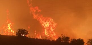 Mersin’deki orman yangını D-400 karayoluna ulaştı, yol kapatıldı