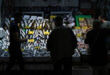 İstanbul’da tezgahlarda balık çeşitliliği artmasına rağmen fiyatlar henüz düşmedi