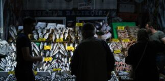 İstanbul’da tezgahlarda balık çeşitliliği artmasına rağmen fiyatlar henüz düşmedi