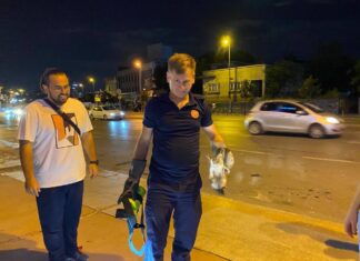 Motora sıkışan kediyi önce kurtardılar sonra sahiplendiler