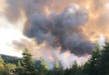 Bursa’nın Orhaneli ilçesiyle Eskişehir’in Han ilçesinde orman yangını çıktı