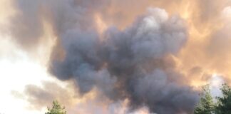 Bursa’nın Orhaneli ilçesiyle Eskişehir’in Han ilçesinde orman yangını çıktı