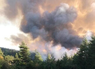 Bursa’nın Orhaneli ilçesiyle Eskişehir’in Han ilçesinde orman yangını çıktı