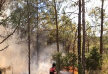 Marmaris’te orman yangını