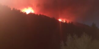 Marmaris’te orman yangını ve mücadele 7 saati aşkındır devam ediyor