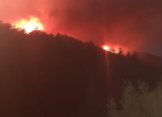 Marmaris’te orman yangını ve mücadele 7 saati aşkındır devam ediyor