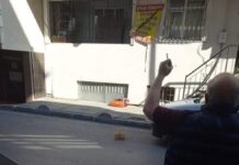 Tüyler ürperten cinayet: annesinin başını kesip camdan aşağıya attı