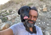 Bu sevgi örnek olmalı; Her gün 450 sokak köpeğine 5 saatini ayırıyor