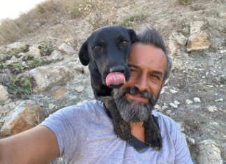Bu sevgi örnek olmalı; Her gün 450 sokak köpeğine 5 saatini ayırıyor