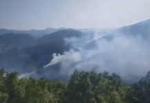 Antalya’da orman yangını