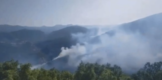 Antalya’da orman yangını