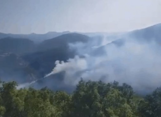 Antalya’da orman yangını