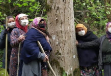 Resmi Gazete’de yayımlandı: Cumhurbaşkanı kararıyla 11 ilde bazı alanlar ‘orman sınırı’ dışına çıkarıldı