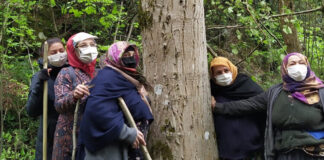 Resmi Gazete’de yayımlandı: Cumhurbaşkanı kararıyla 11 ilde bazı alanlar ‘orman sınırı’ dışına çıkarıldı