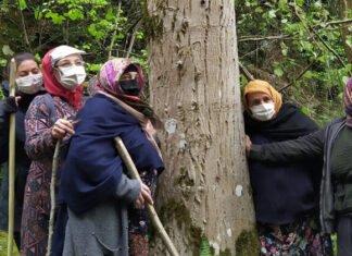 Resmi Gazete’de yayımlandı: Cumhurbaşkanı kararıyla 11 ilde bazı alanlar ‘orman sınırı’ dışına çıkarıldı