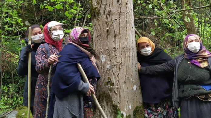 ikizdere4-e1661414818834