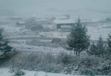 Erken oldu ama mevsimin ilk karı yağdı!