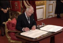 KRALIN GÖREVLERİ NELER? KRAL NELERE KARIŞABİLİR?