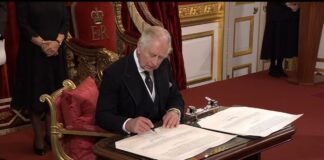 KRALIN GÖREVLERİ NELER? KRAL NELERE KARIŞABİLİR?