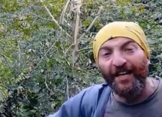 YAKA SİLKTİĞİ AYIYA NOT BIRAKTI: ‘BU AĞACI DA KIRARSAN ALLAH BELANI VERSİN!’