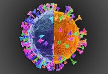 Corona, Delta, Omicron derken şimdi de ‘Deltacron’ varyantı geliyor!