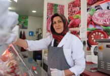 📽️ VEJETARYEN BIR KASAP!