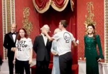 AKTİVİTLER DURMUYOR: VAN GOGH VE CLAUDE MONET’İN TABLOLARINA SALDIRIDAN SONRA KRAL’A PASTA!