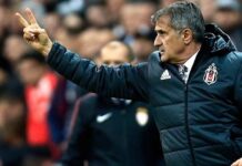 BEŞİKTAŞ: ŞENOL GÜNEŞ!