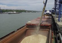 RUSYA, UKRAYNA’DAN TAHIL TAŞINMASINI ÖNGÖREN ANLAŞMAYA KATILIMINI ASKIYA ALDI