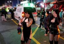 📽️CADILAR CAN ALDI: SEUL’DE CADILAR BAYRAMI ETKİNLİKLERİNDE EN AZ 120 KİŞİ HAYATINI KAYBETTİ