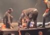 Haitili ünlü şarkıcı Mikaben konser esnasında binlerce kişinin önünde yaşamını yitirdi!