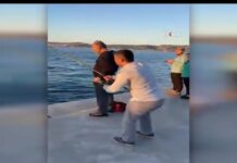 PALAMUTUMUZ KALMADI, ORTAYA ŞÖYLE BİR KÖPEK BALIĞI VERSEK?