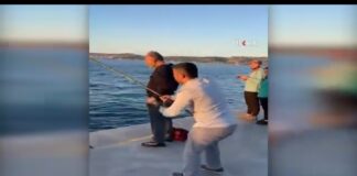 PALAMUTUMUZ KALMADI, ORTAYA ŞÖYLE BİR KÖPEK BALIĞI VERSEK?