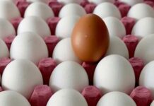 Yumurtaya yeni zam; 1 yumurta 2,53 TL.