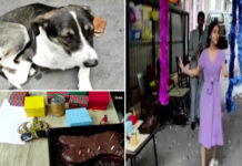 Kemik şeklinde pasta geldi, maytaplar yakıldı, herkes klarnet eşliğinde dans etti. Tüm bunlar Bobinin doğum günü için