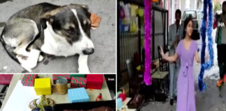 Kemik şeklinde pasta geldi, maytaplar yakıldı, herkes klarnet eşliğinde dans etti. Tüm bunlar Bobinin doğum günü için