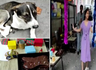 Kemik şeklinde pasta geldi, maytaplar yakıldı, herkes klarnet eşliğinde dans etti. Tüm bunlar Bobinin doğum günü için