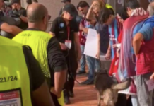 Fransızlar yine yaptı yapacağını; Maça gelen Trabzonspor taraftarlarını köpeklerle aradı