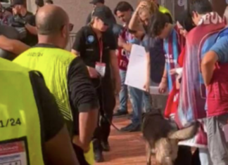 Fransızlar yine yaptı yapacağını; Maça gelen Trabzonspor taraftarlarını köpeklerle aradı