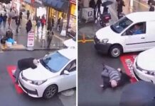 Görenler şaştı kaldı. Önce arabanın üzerine yavaşça uzandı, ardından usulünce yere düştü!
