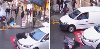 Görenler şaştı kaldı. Önce arabanın üzerine yavaşça uzandı, ardından usulünce yere düştü!