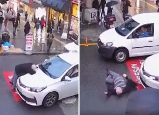 Görenler şaştı kaldı. Önce arabanın üzerine yavaşça uzandı, ardından usulünce yere düştü!